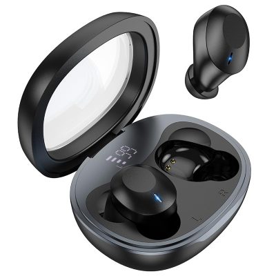 HOCO EQ3 True Wireless in-Ear Earbuds-Black Color